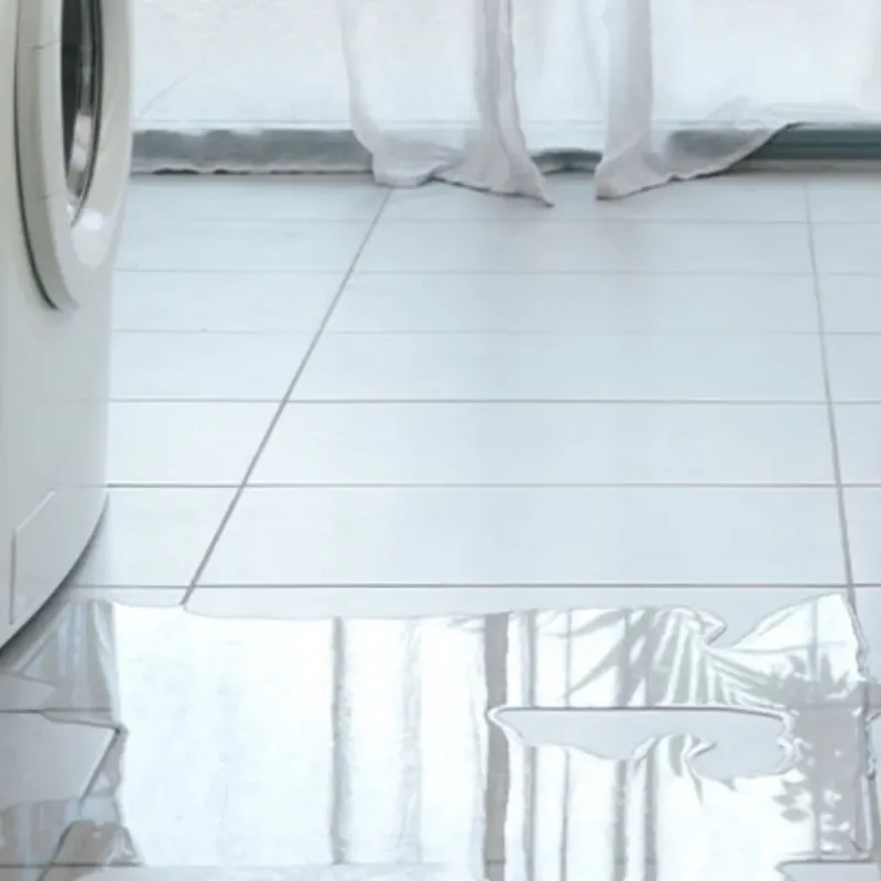 Appliance Leak Cleanup in Kentwood, MI