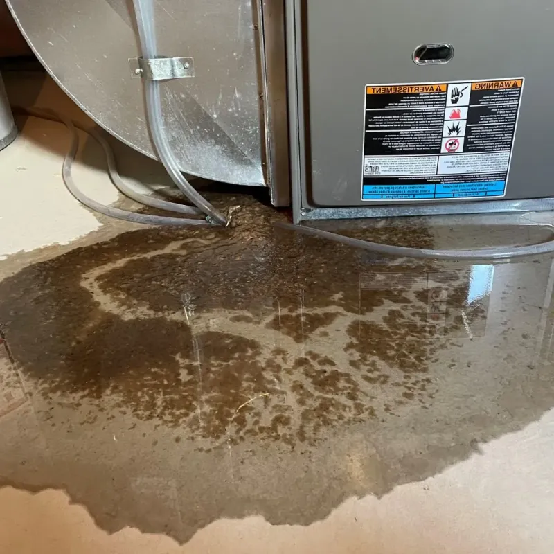 Pipe Burst and Leak Restoration in Kentwood, MI